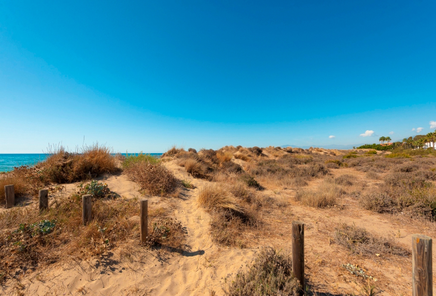 Nueva promoción en Altos de los Monteros
