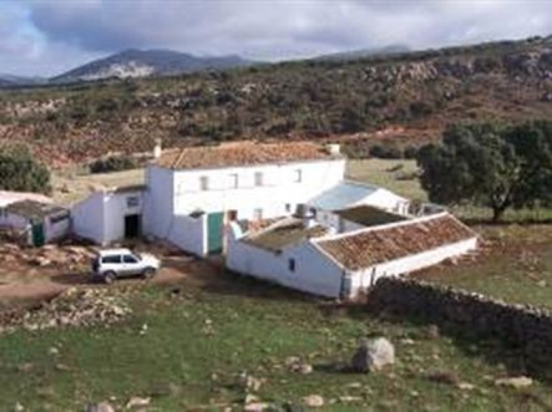 Cortijo en venta en Ronda.