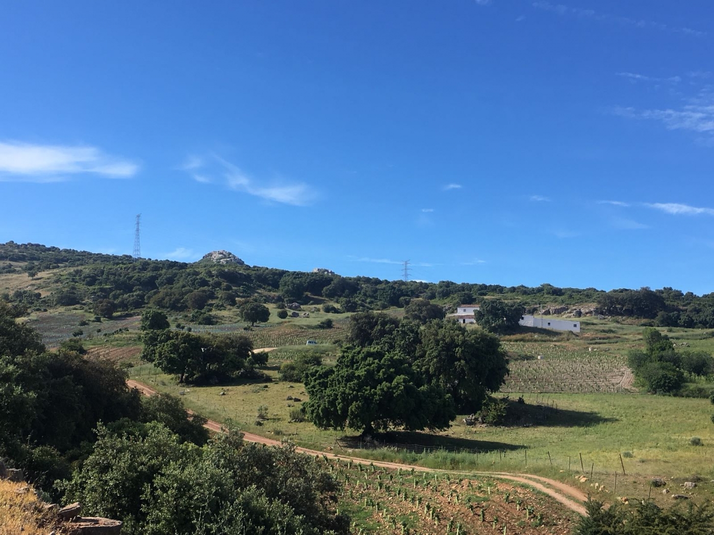 Cortijo en venta en Ronda.