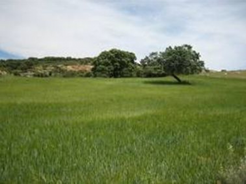 Cortijo en venta en Ronda.