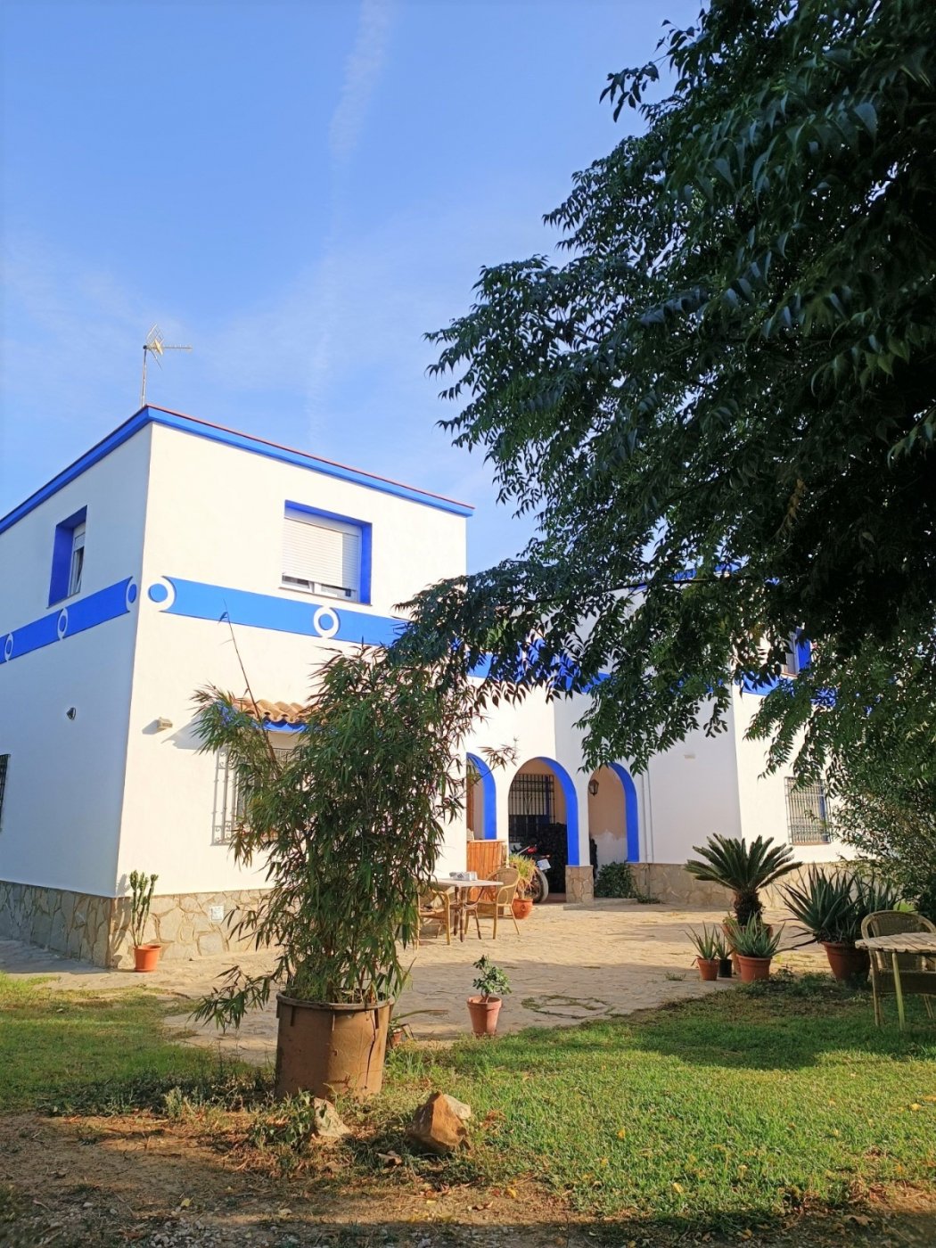 Finca en Tarifa campo
