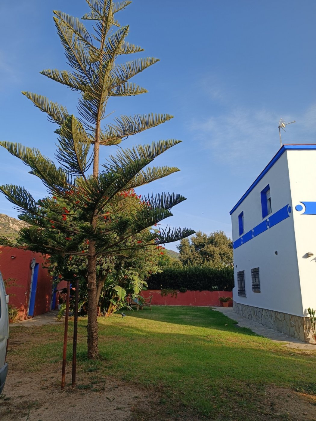 Finca en Tarifa campo