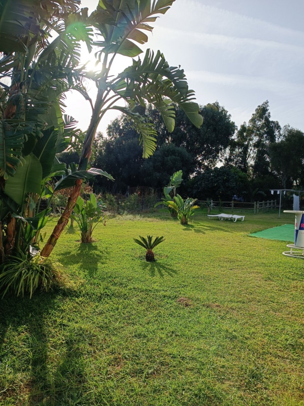 Finca en Tarifa campo