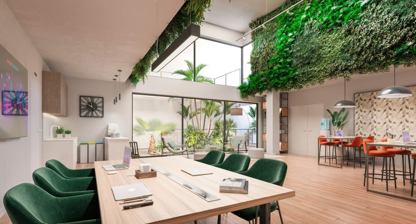 New development in Casares