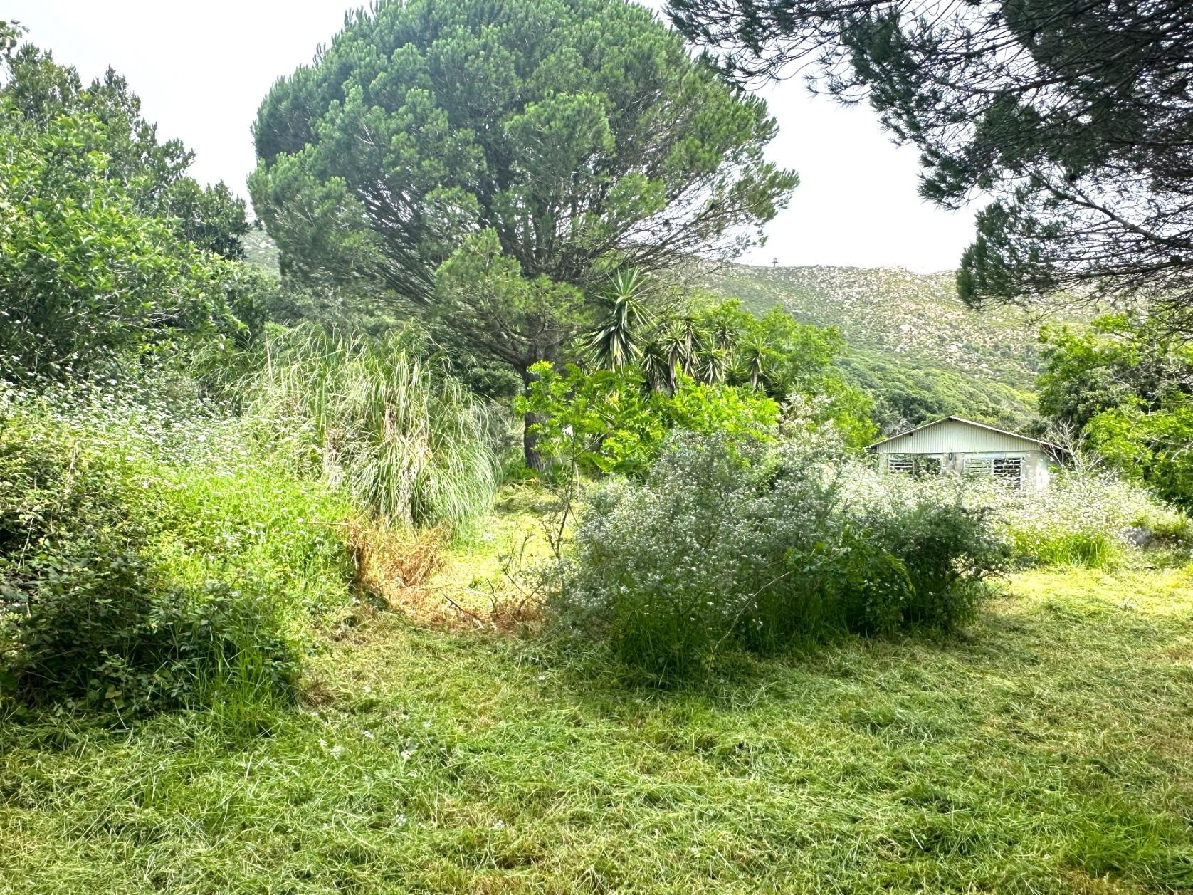 Parcela en El Cuartón Alto, Tarifa