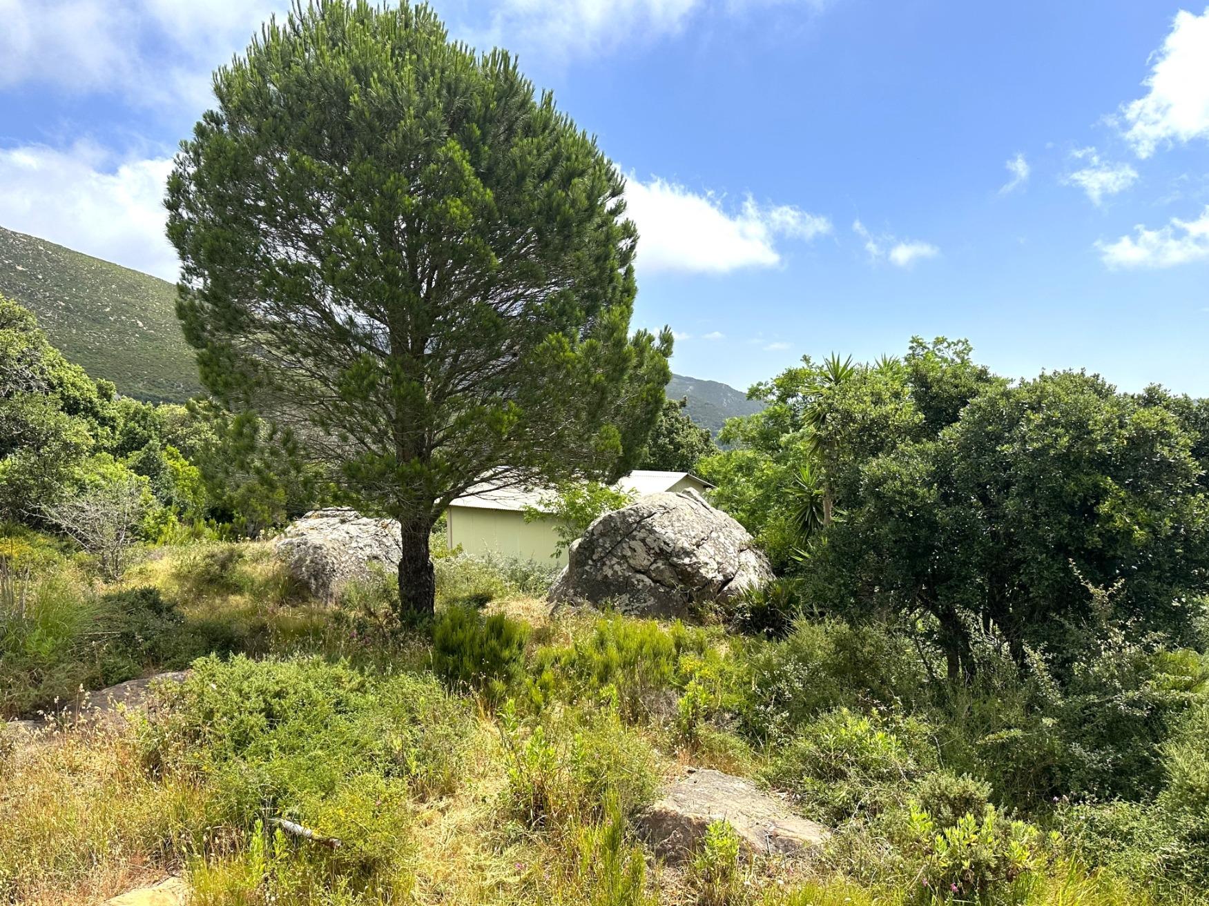 Parcela en El Cuartón Alto, Tarifa