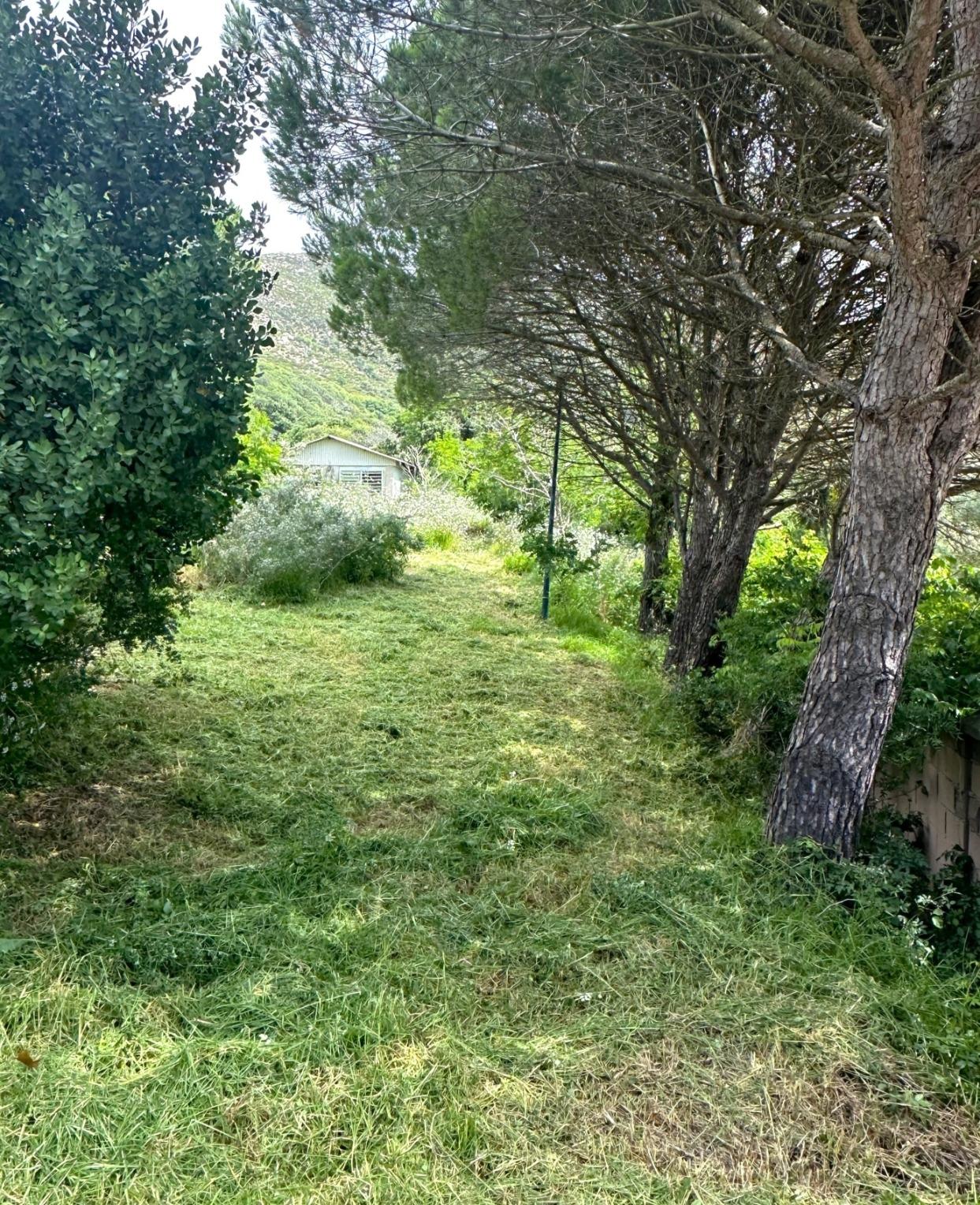 Parcela en El Cuartón Alto, Tarifa
