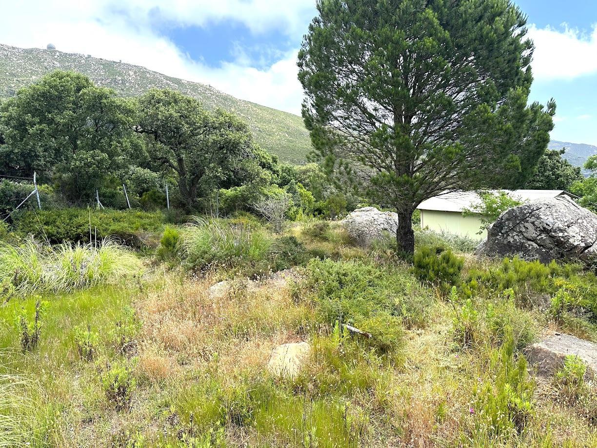 Parcela en El Cuartón Alto, Tarifa