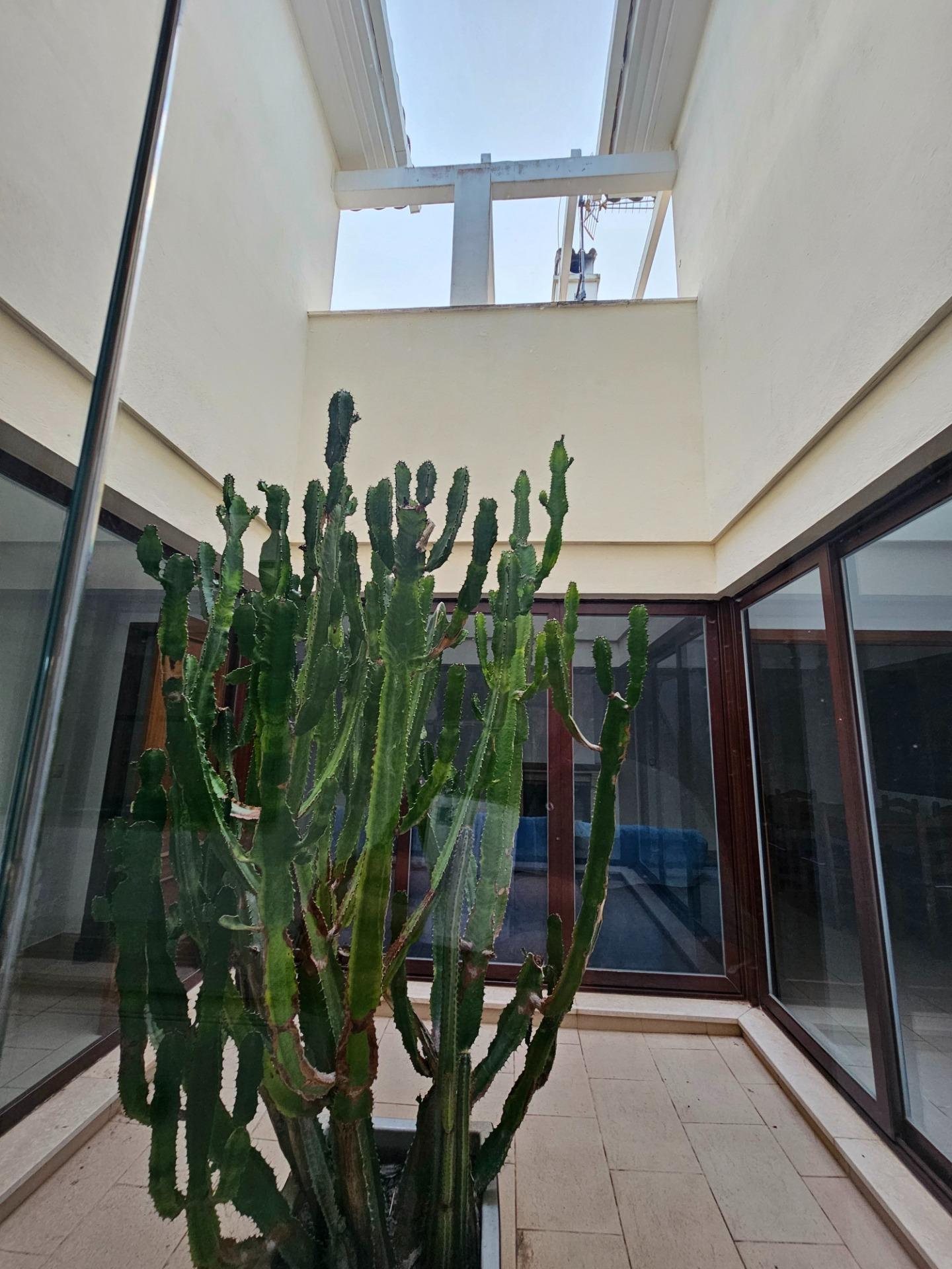 Villa en Loma Sancti Petri, Chiclana de la Frontera