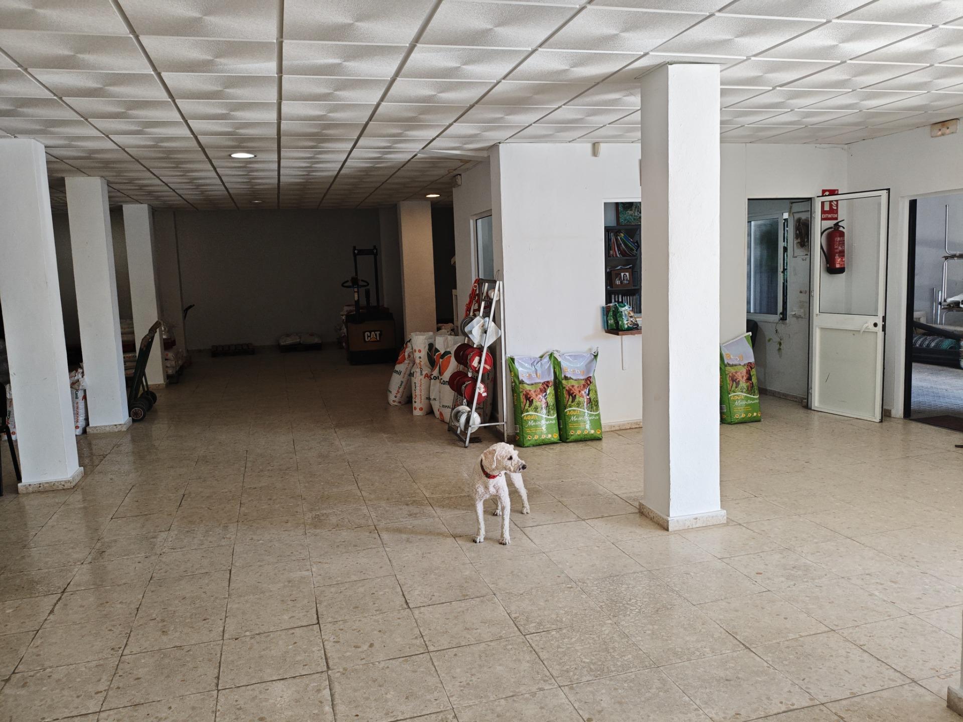 Local comercial en Tarifa